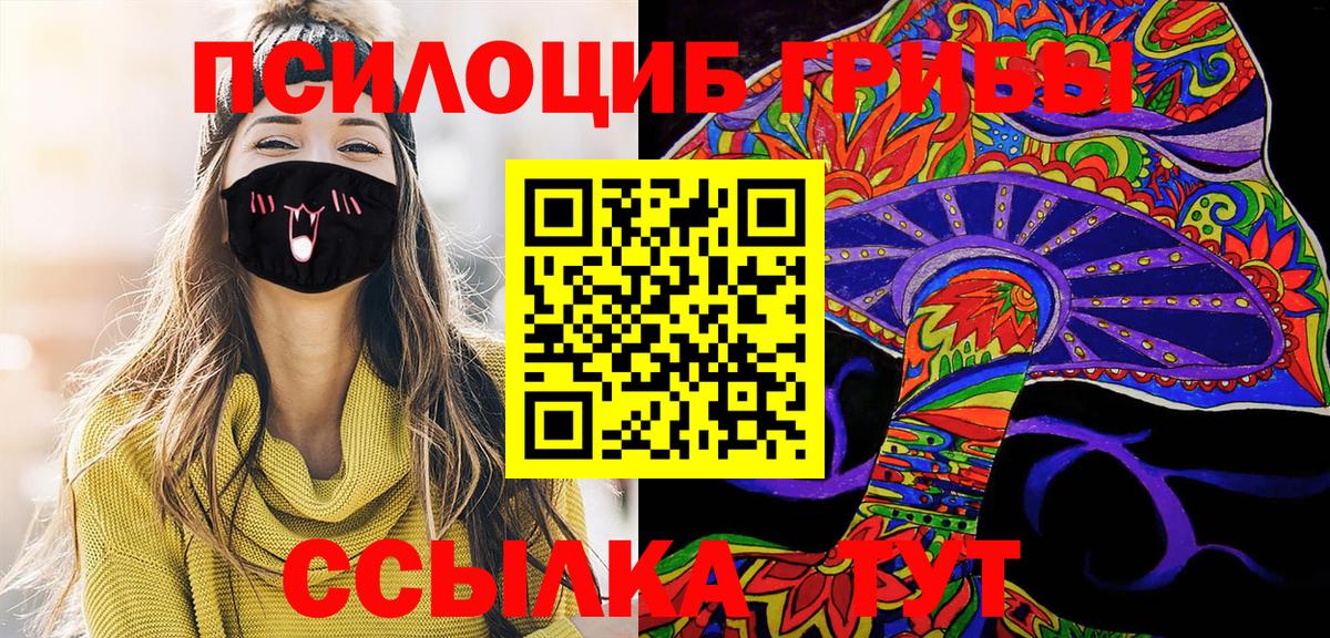 Усть-Кут  Псилоцибиновые грибы прущие грибы  Вход с VPN 